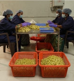 Manyyata MIDC Nagapur Processing Unit