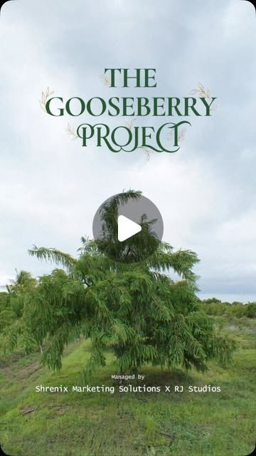 The Gooseberry Project Reel